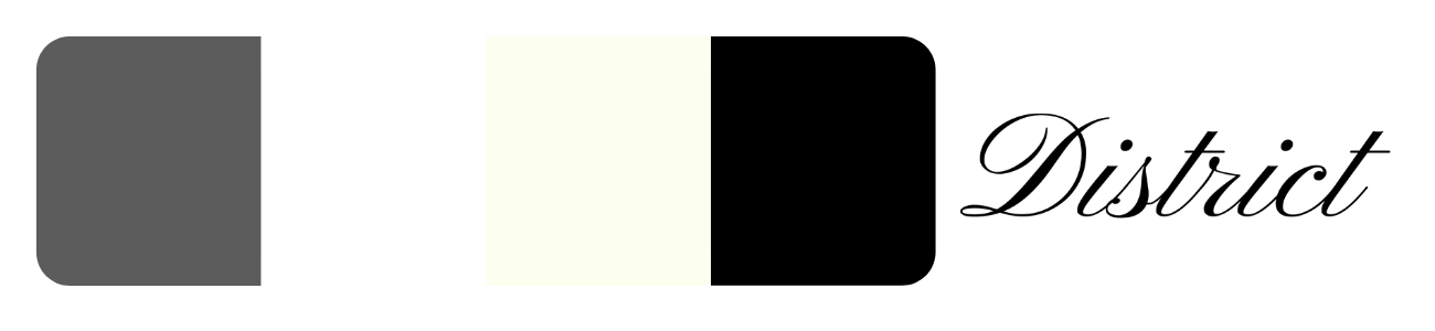 District branding colors