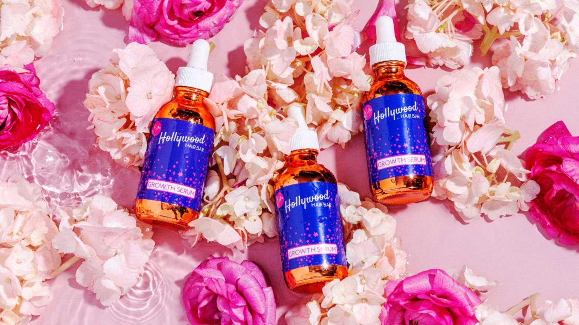 Holly Wood Hair Bar Case Study