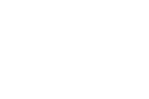 Google Partner Logo White