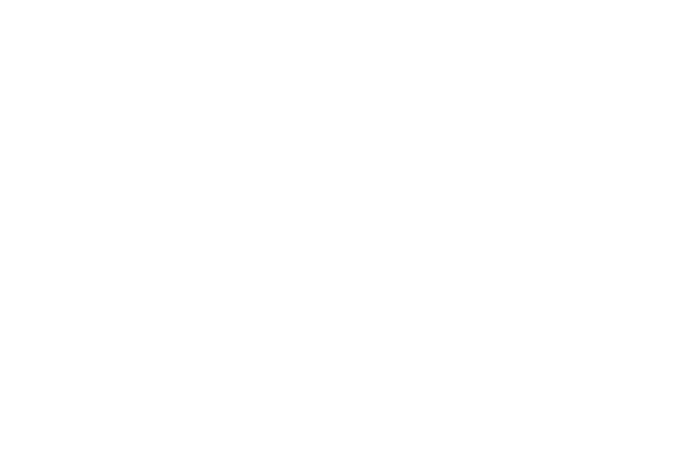 Klaviyo Logo White