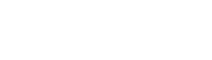 Shopify Partner Logo White